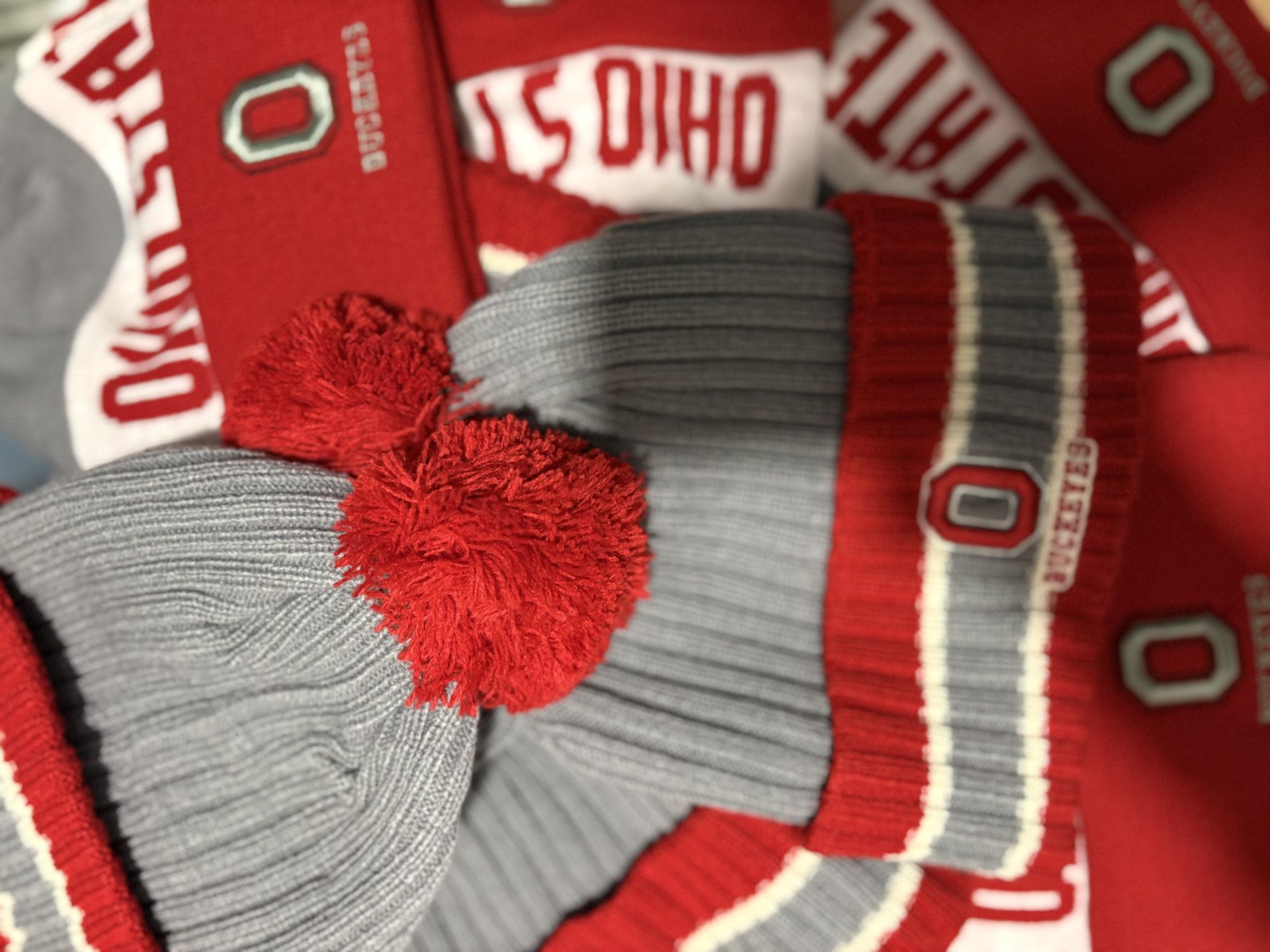 Ohio State themed Exam & Holiday Care Package